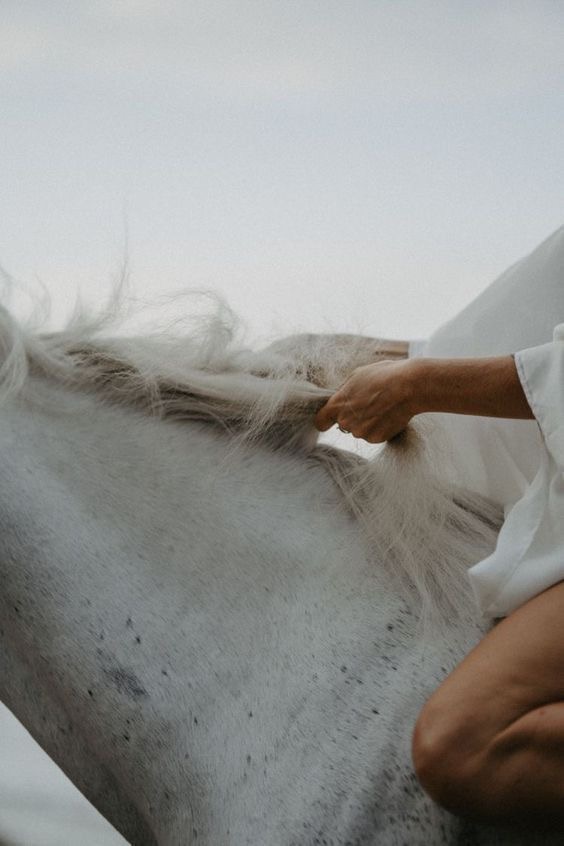 Maison Vale brand feel