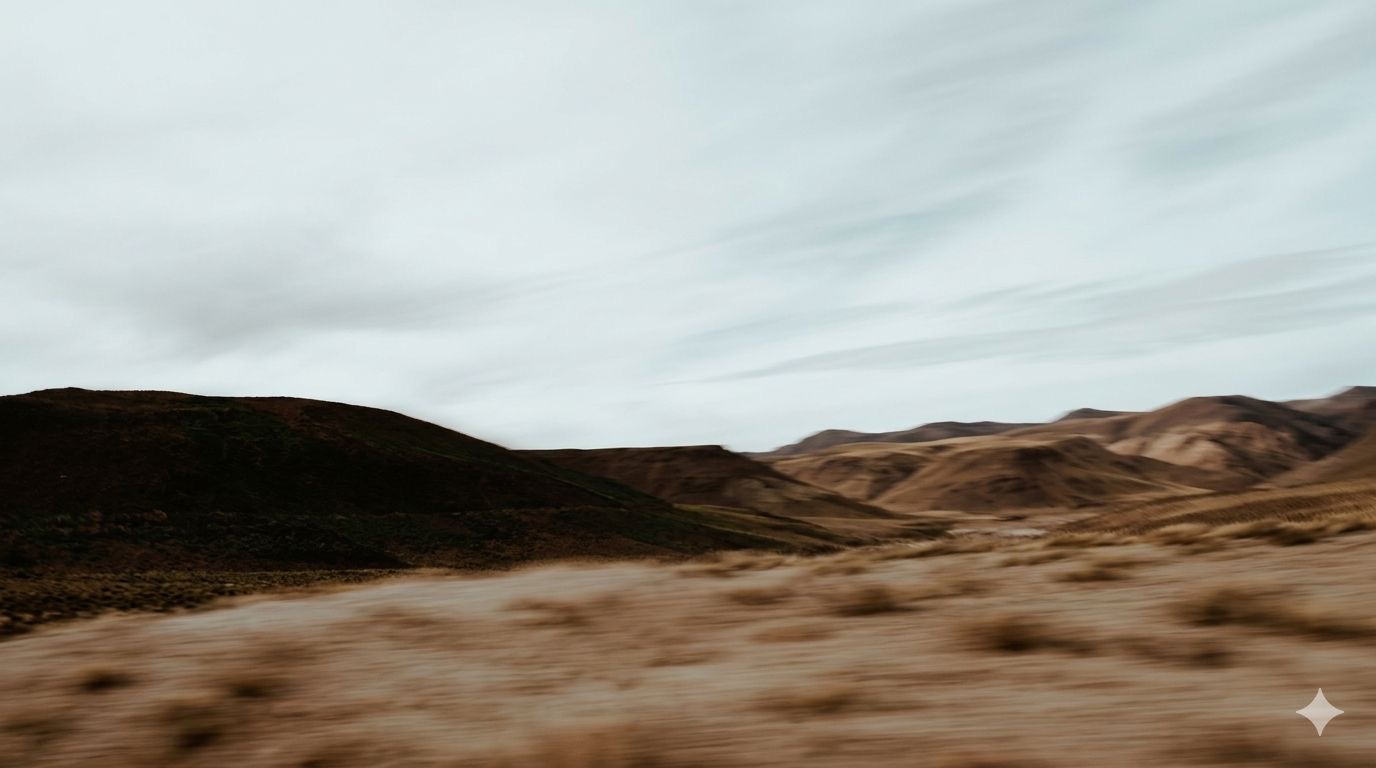 Maison Vale Cape Town digital marketing agency